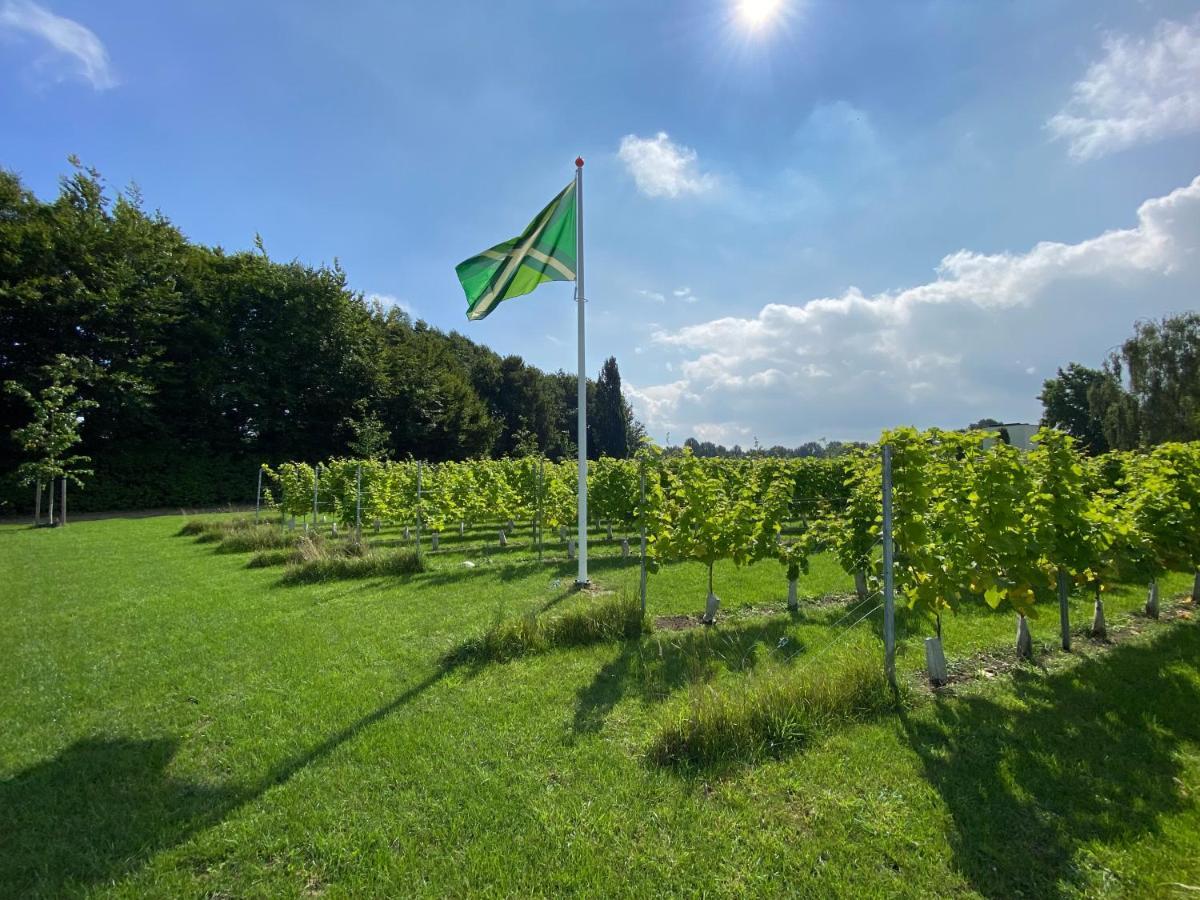 Achterhoeks Goed, Bed & Breakfast In Vragender Exterior photo